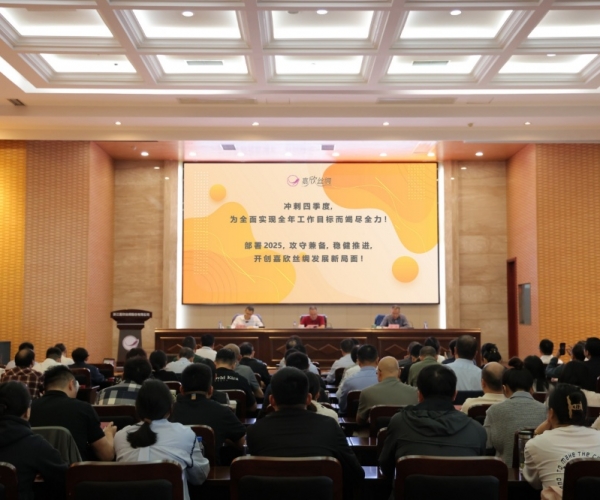 J9集团丝绸2024年三季度经济形势剖析会顺遂召开